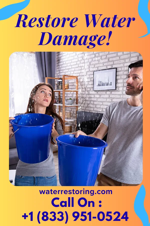 water restoration Sterling Water Cleanup Contractors Dixie